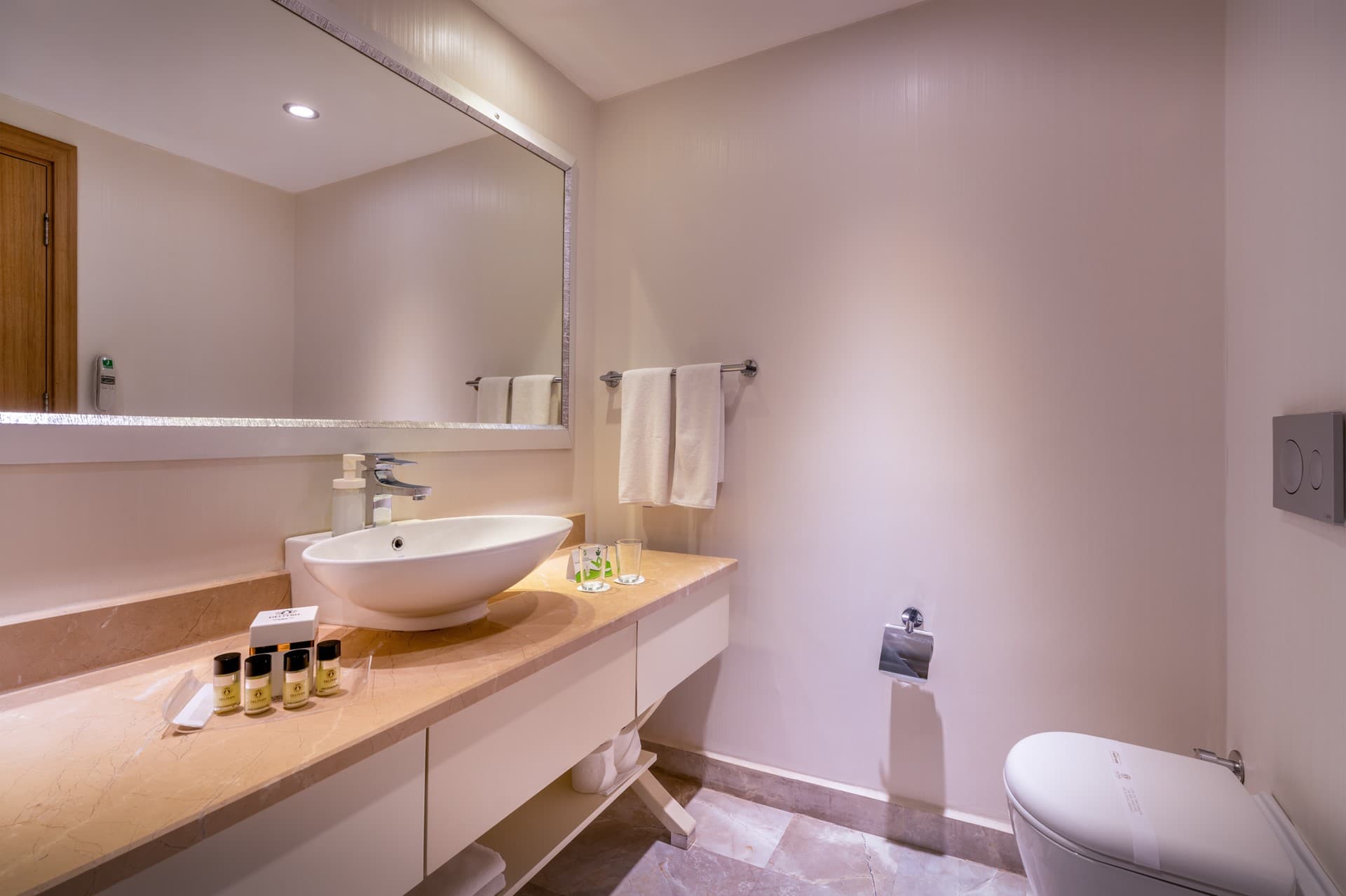 Standardní pokoj, výhled do areálu v hotelu Botanik Platinum — foto č. 5