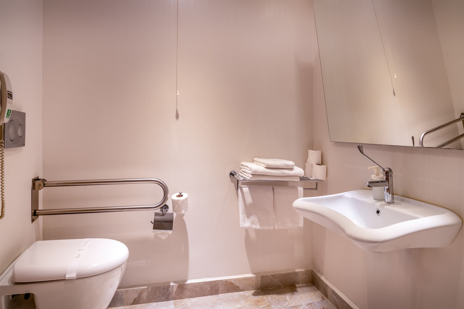 Standardní bezbariérový pokoj v hotelu Botanik Platinum — foto č. 2